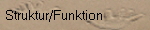 Struktur/Funktion