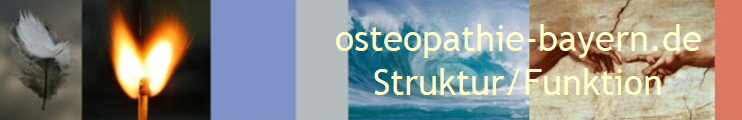 osteopathie-bayern.de
Struktur/Funktion