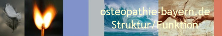 osteopathie-bayern.de
Struktur/Funktion